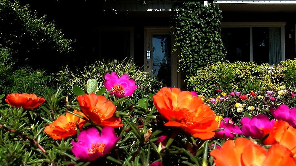 Murray Inn And Art Gallery Kültér fotó